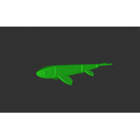 Pelagic 210