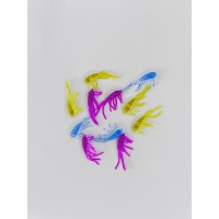 Бокоплав \Amphipod Бокоплав \Amphipod